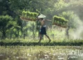 Hasil Panen Jadi Jaminan, Pemerintah Siapkan Pembiayaan Petani Bunga 6 Persen