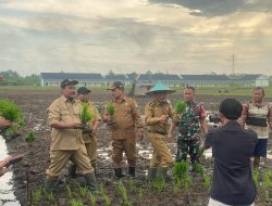 Pemkot Pontianak Dorong Petani Tanam Padi Bibit Unggul di Lahan 15 Hektare