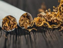 Perumusan Kebijakan Tembakau Jangan Sampai Korbankan Pedagang Kecil