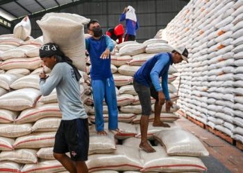 Harga Cabai dan Bawang Merah Naik Tajam, Beras Justru Turun
