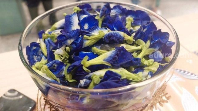 Boba Warna Biru Terbuat Dari Bunga Telang, Wajib Coba Sebelum Kehabisan
