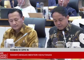 Kemhut Identifikasi 12 Pelaku Kerusakan Hutan, Menhut Tunggu Persetujuan Presiden