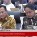 Kemhut Identifikasi 12 Pelaku Kerusakan Hutan, Menhut Tunggu Persetujuan Presiden