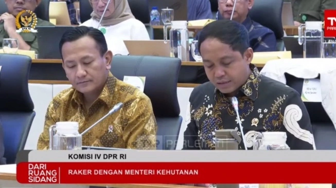 Kemhut Identifikasi 12 Pelaku Kerusakan Hutan, Menhut Tunggu Persetujuan Presiden