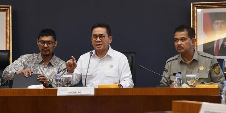 Indonesia Bidik Peluang Perdagangan dan Investasi Lebih Besar Lewat BRICS