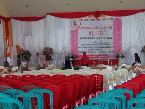 Meriahkan HUT IBI, 600 Bidan Akan Berkumpul di Melawi