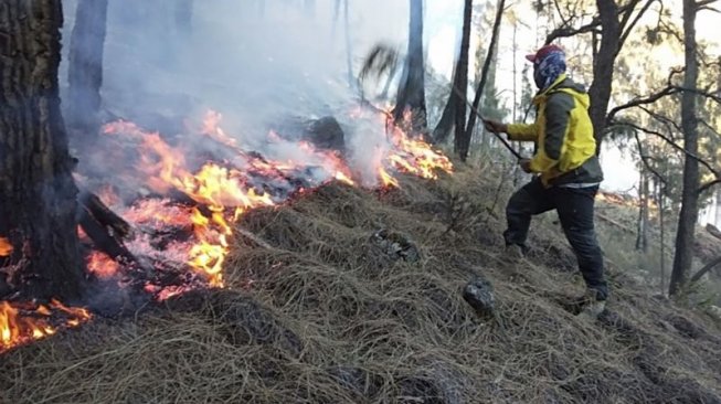 Kebakaran Hutan, 500 Warga Kalimantan Barat Gugat Perusahaan dan Negara