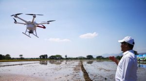 Petani Gunakan Teknologi Canggih Drone Untuk Tabur Pupuk