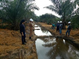 Pemkab Landak Kaji Air Limbah Industri Sawit Untuk Pupuk