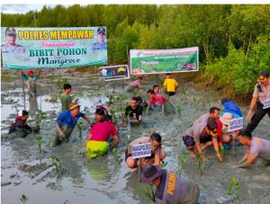 Polres Mempawah Lanjutkan Aksi Polri Peduli Lingkungan, Tanam 3000 Mangrove