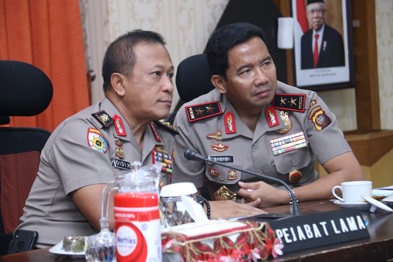 Katta semiz mushuklarning fotosuratlari Daraxtdagi jinsiy aloqani tomosha qiling