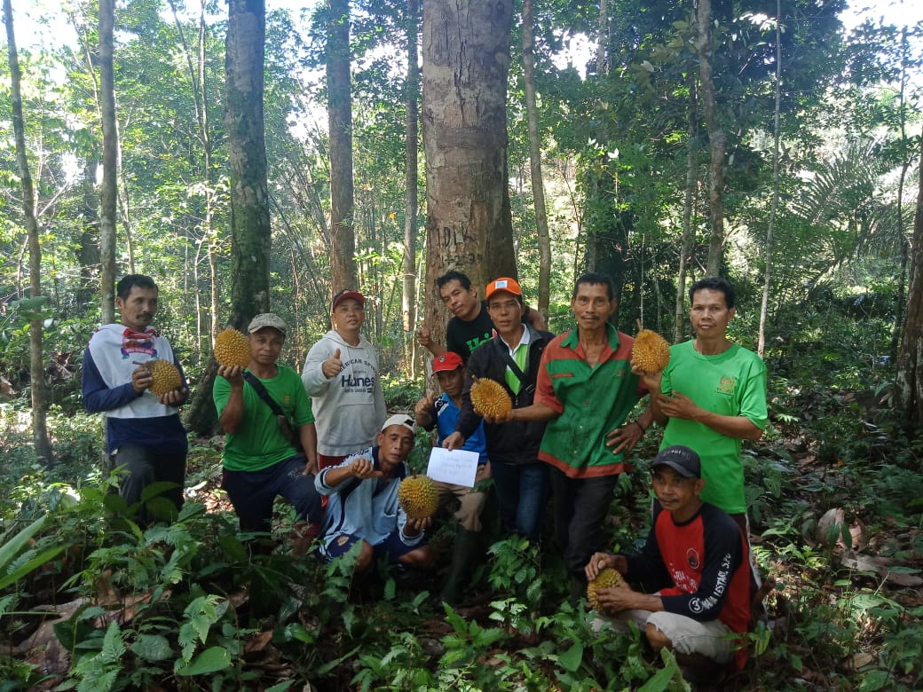 Obsevasi Tanaman Durian Lokal, Pertahankan Plasma Nutfah di Landak