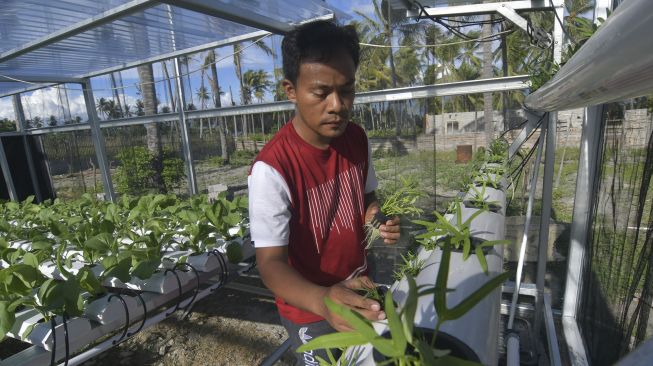 Ahli Pertanian: Bercocok Tanam Jadi Solusi Penghasilan di Tengah Pandemi