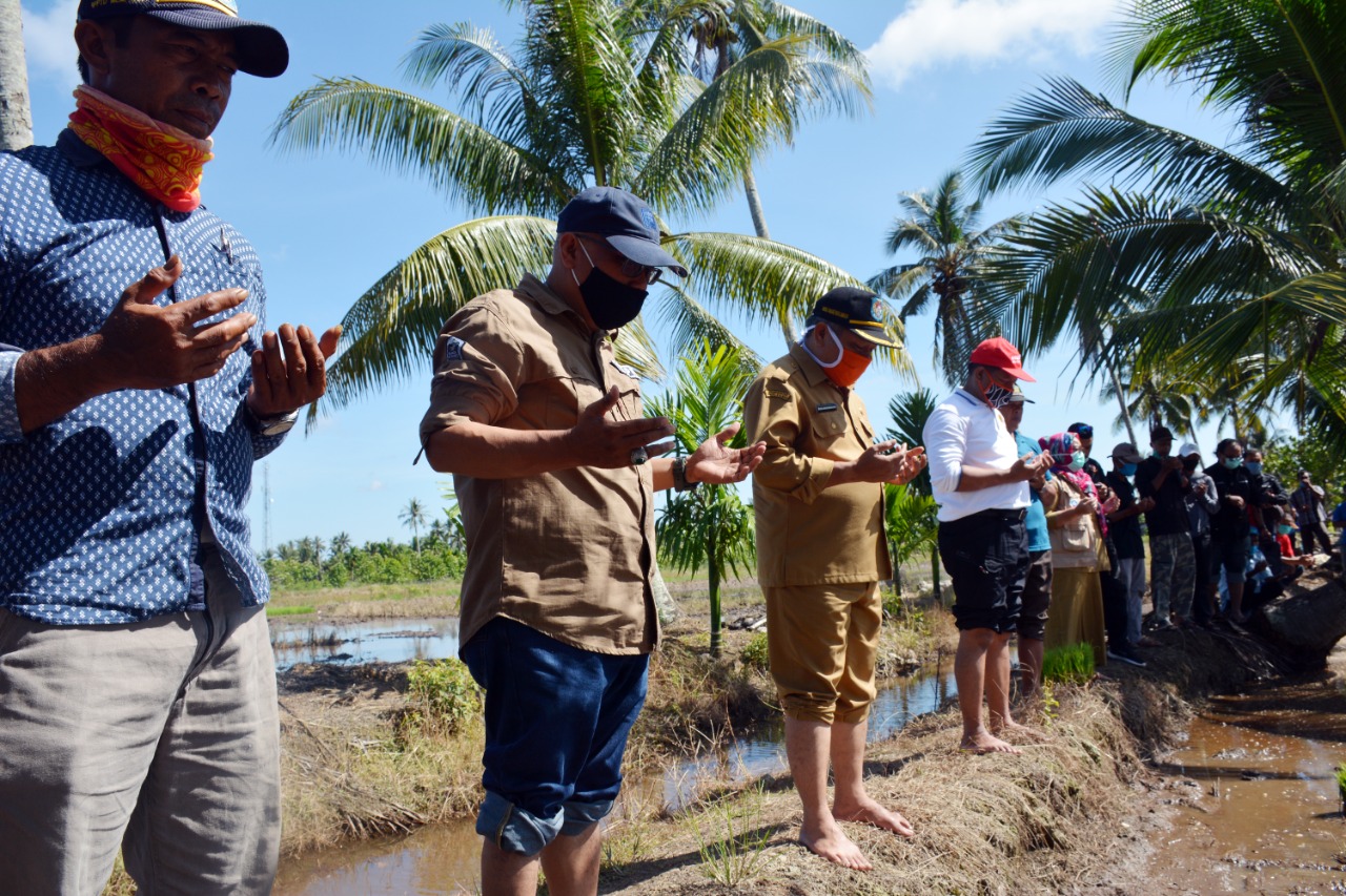 Kubu Raya Percepat Tanam Padi Musim Gadu