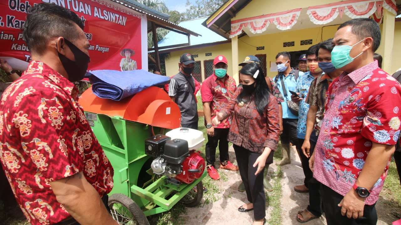 Bupati Landak Bagikan Bibit Padi dan Alsintan Di Kecamatan Sebangki