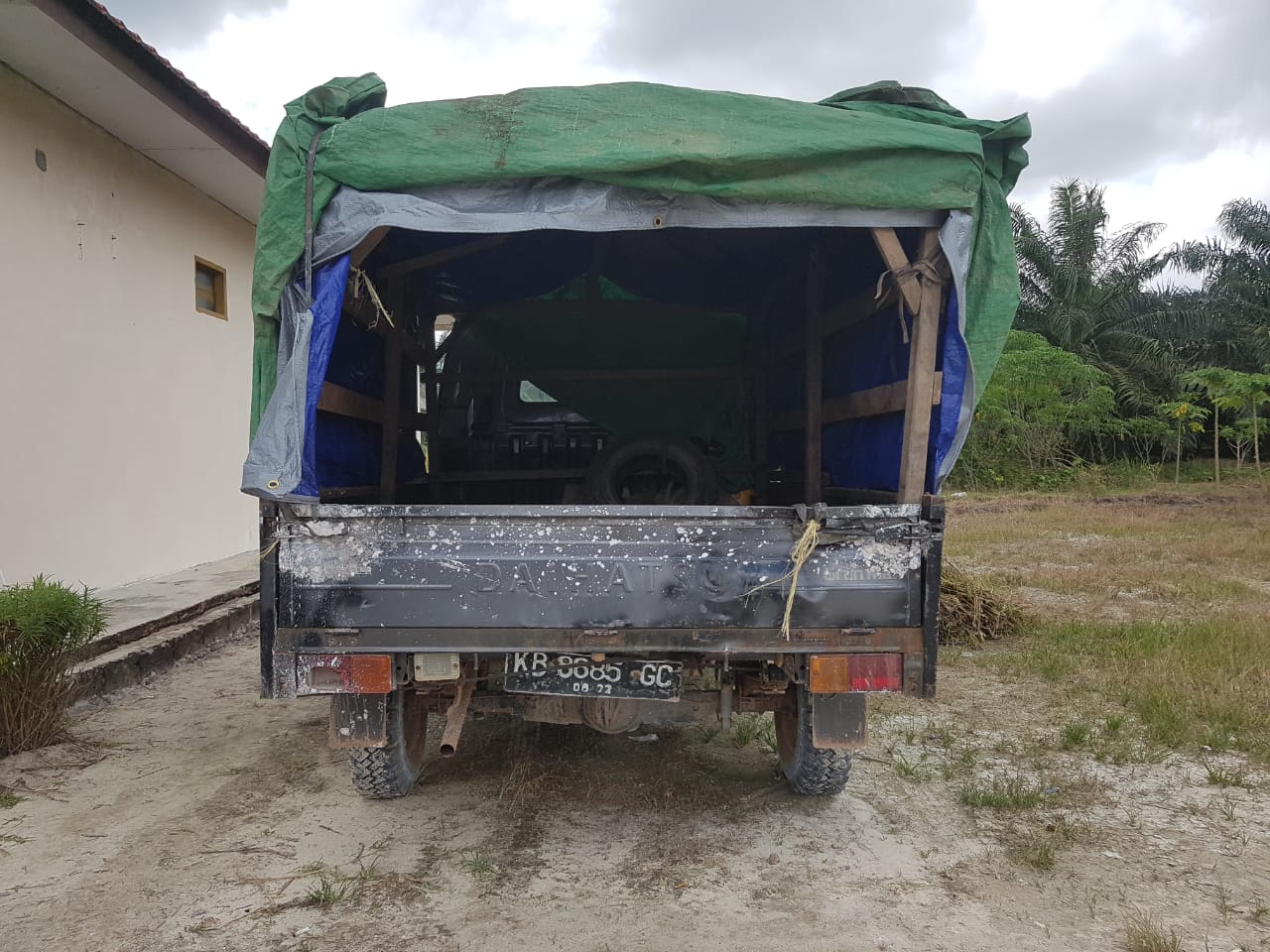 Polisi Ringkus Pencuri Kerbau di Perumahan PT BNS Kendawangan