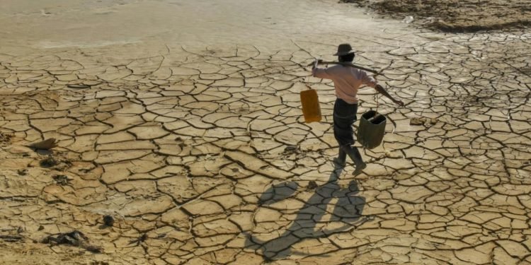 Pertanian Hadapi Tekanan, El Nino Kian Tak Terprediksi