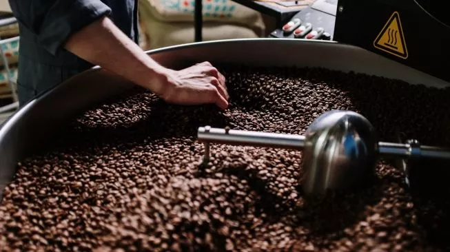 Andil PMO Kopi Nusantara Dongkrak Kapasitas Produksi dan Kualitas Kopi Indonesia