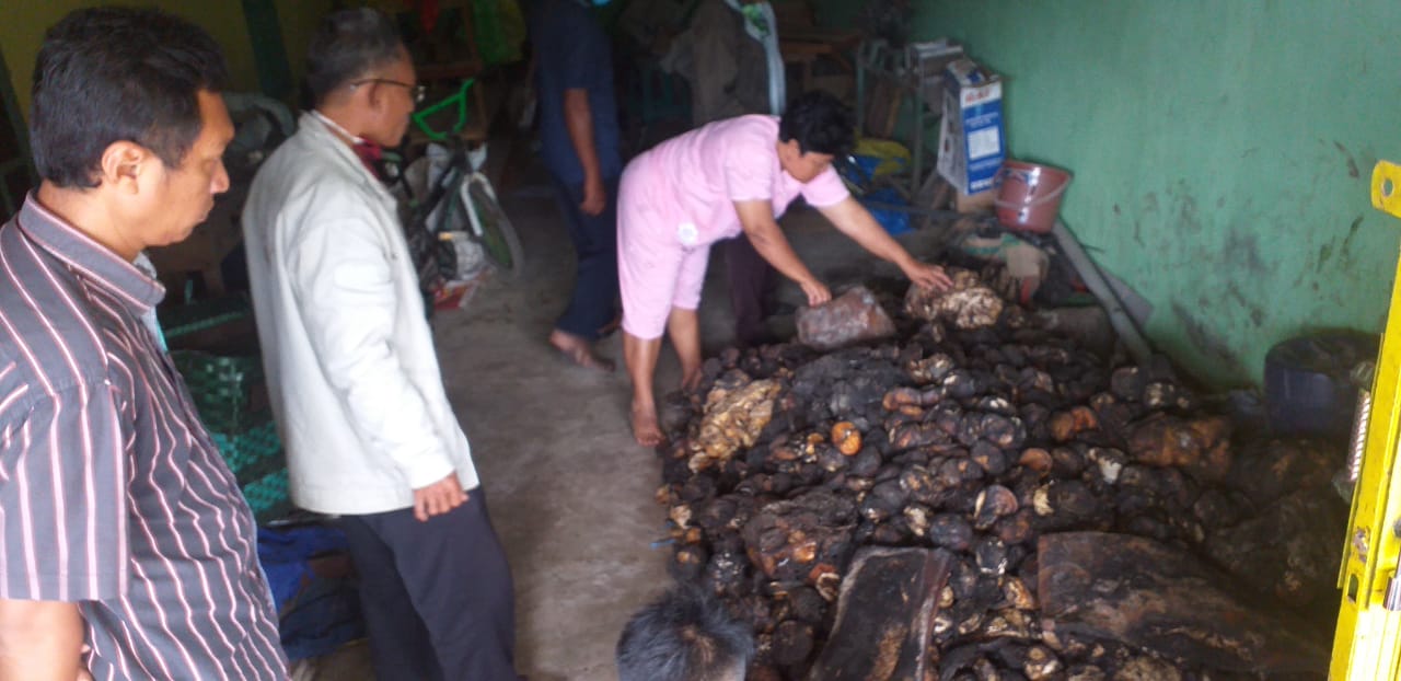 Mengintip Sukses Petani Karet dari Desa Bintang Mas