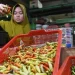 Harga Cabai Rawit Masih Melambung