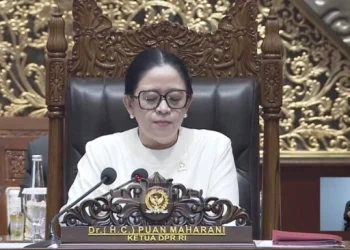 Puan Maharani Kritik WFH ASN, Ingatkan Pelayanan Publik Tetap Optimal