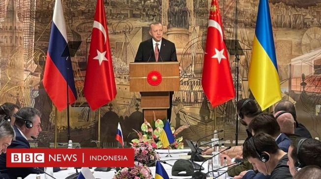 Erdogan Serukan Rusia dan Ukraina Genjatan Senjata