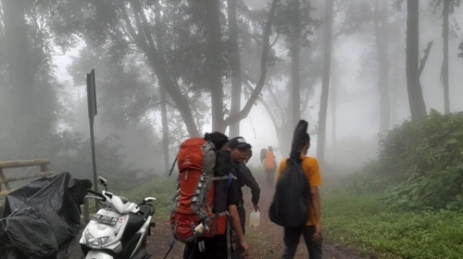 Detik-detik Erupsi Gunung Marapi, Pendaki Riau: Keluar Asap, Turun Batu dari Atas