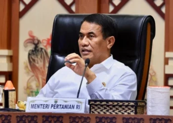 Mentan Amran Pastikan Operasi Pasar Tekan Harga Beras, 1,3 Juta Ton SPHP Digelontorkan