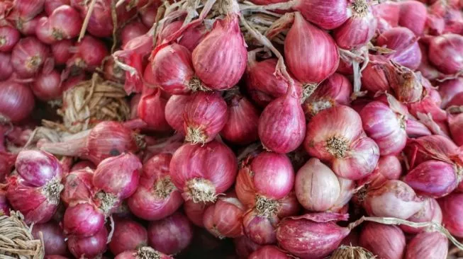 BISNIS /Makro/Keuangan/Properti/Inspiratif/Ekopol Mendongkrak Produksi Bawang Merah Lewat Benih dari Umbi