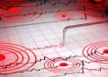 Gempa M7,6 Guncang Sulut, 1 Warga Tewas di Manado