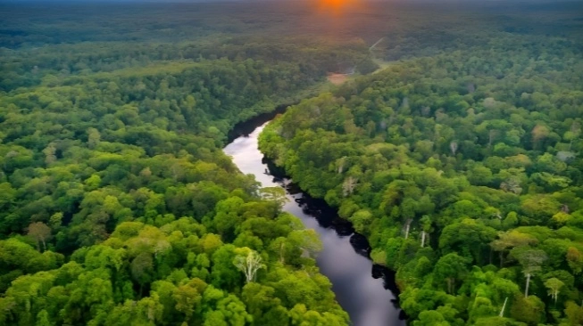 Aksi Ribuan Aktivis Warnai Pembukaan COP30 di Brasil