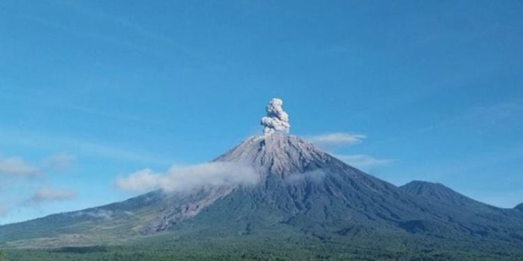 Semeru Siaga: Tercatat 151 Gempa Letusan dalam Sehari, Warga Dilarang Mendekat