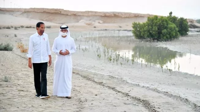 Sepak Terjang Sheikh Mohammed bin Zayed al-Nahyan, Presiden Baru Uni Emirat Arab