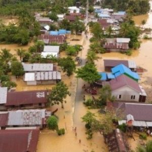 18.356 Hektar Lahan Pertanian Terancam Gagal Panen Akibat Banjir Kalsel