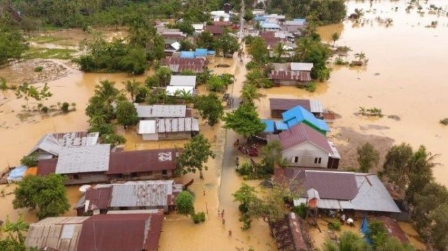 18.356 Hektar Lahan Pertanian Terancam Gagal Panen Akibat Banjir Kalsel