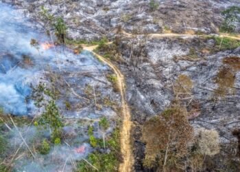 DPR Dorong Audit Korporasi untuk Perkuat Penanganan Karhutla