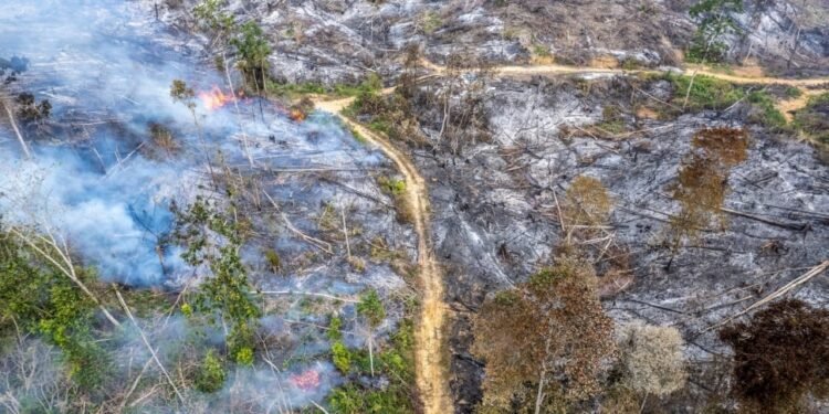 DPR Dorong Audit Korporasi untuk Perkuat Penanganan Karhutla