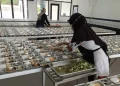 BGN Perketat Pengawasan Program Makan Bergizi Gratis, 106 Dapur Ditutup