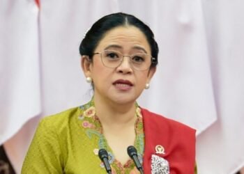 DPR Perkuat Diplomasi Parlemen Indonesia-India