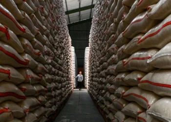 Paradoks Harga Beras di Tengah Panen Raya