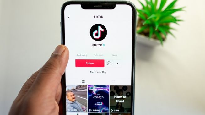 Diblokir Kominfo, Ini 5 Fakta Tentang TikTok Cash