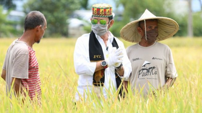 Rugikan Petani, DPR Tak Rekomendasikan Impor 1 Juta Ton Beras