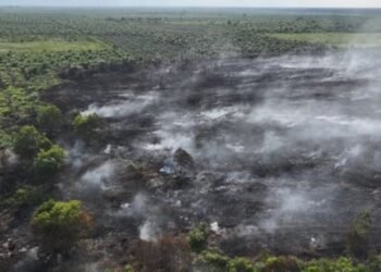 Karhutla Meluas, Mengapa Api di Indonesia Sulit Dipadamkan?