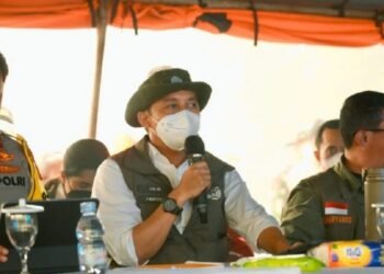 Lima Izin Perusahaan di Kalimantan Dicabut Terkait Karhutla