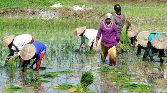 BGN Agripreneur Buka Jalan Petani Muda Indonesia ke Pasar Global