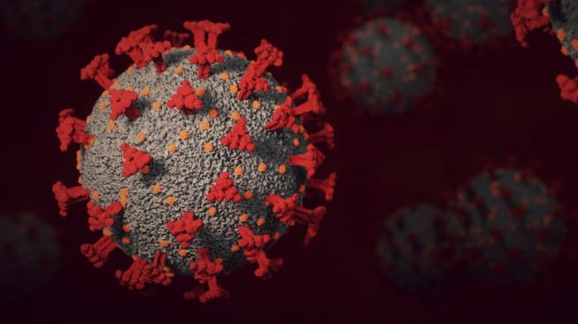 Update Covid-19 Indonesia: Kasus Positif 607, 2.782 Sembuh, 22 Meninggal