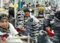 BI Catat Aktivitas Dunia Usaha Melambat, Penyerapan Tenaga Kerja Masih Lemah