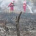 ICW Ungkap Korupsi Tata Kelola Hutan di Balik Karhutla Berulang