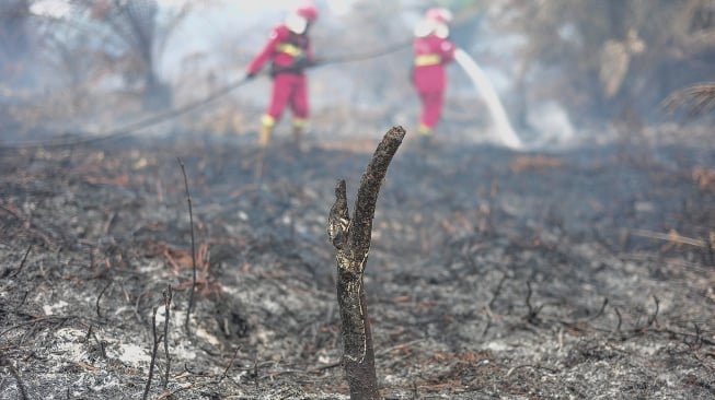ICW Ungkap Korupsi Tata Kelola Hutan di Balik Karhutla Berulang