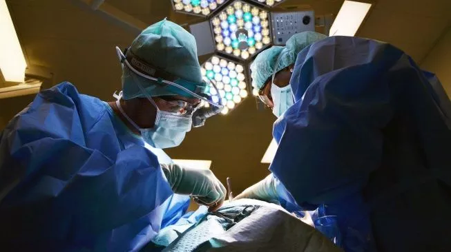 Medis Indonesia-Italia: Kembangkan Teknologi Cetak Organ buat Pasien Kanker hingga Jantung